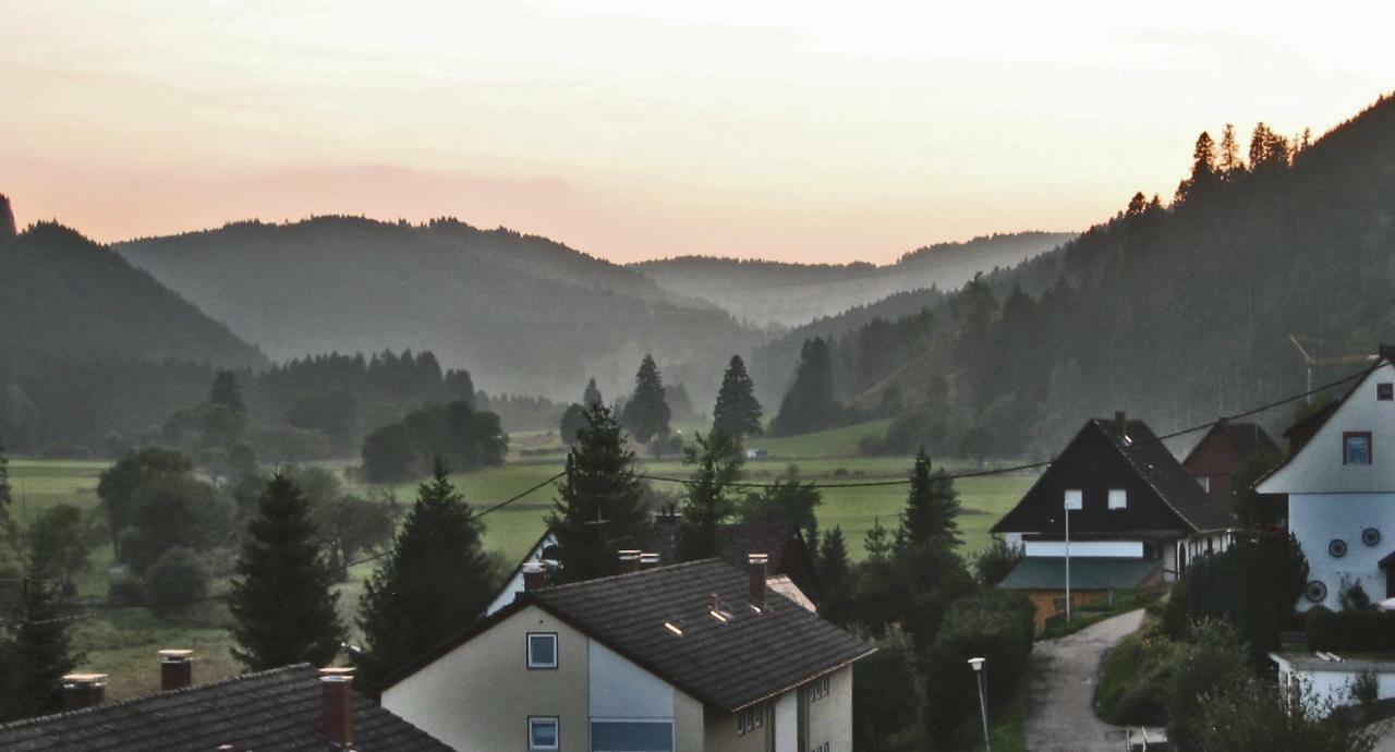 Urseetalblick Apartment Lenzkirch Exterior photo